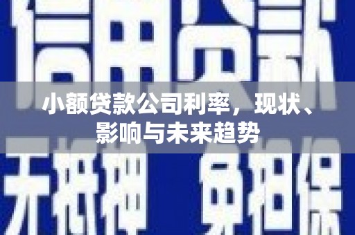 江干小额贷款公司利率，现状、影响与未来趋势