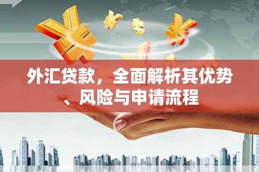 江干外汇贷款，全面解析其优势、风险与申请流程
