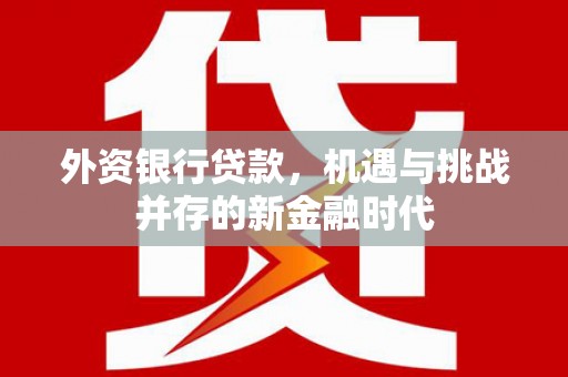 江干外资银行贷款，机遇与挑战并存的新金融时代
