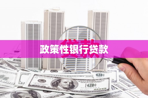 江干政策性银行贷款