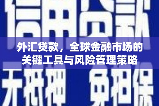 江干外汇贷款，全球金融市场的关键工具与风险管理策略