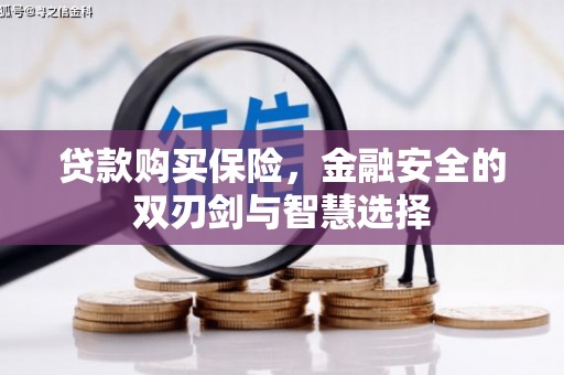 江干贷款购买保险，金融安全的双刃剑与智慧选择