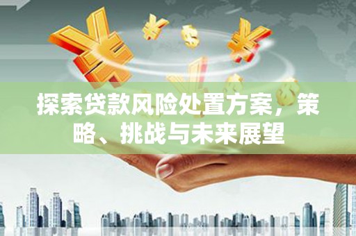 江干探索贷款风险处置方案，策略、挑战与未来展望