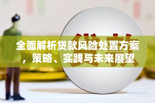 江干全面解析贷款风险处置方案，策略、实践与未来展望