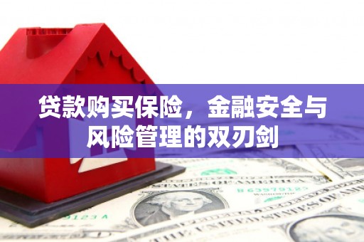 江干贷款购买保险，金融安全与风险管理的双刃剑