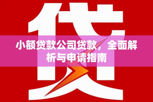 江干小额贷款公司贷款，全面解析与申请指南