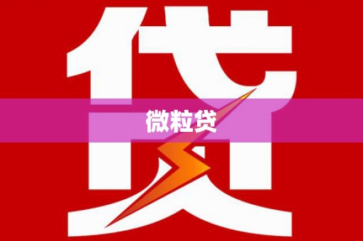 江干微粒贷