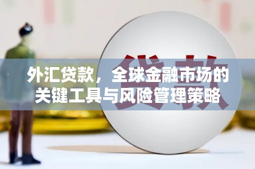 江干外汇贷款，全球金融市场的关键工具与风险管理策略
