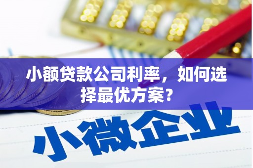 江干小额贷款公司利率，如何选择最优方案？