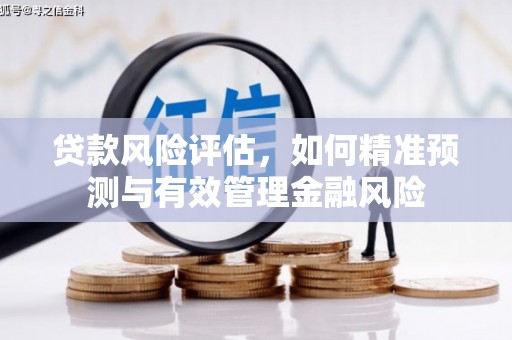 江干贷款风险评估，如何精准预测与有效管理金融风险