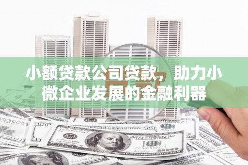 江干小额贷款公司贷款，助力小微企业发展的金融利器