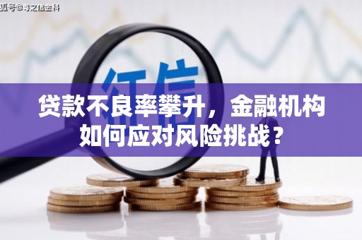 江干贷款不良率攀升，金融机构如何应对风险挑战？