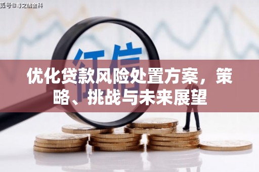 江干优化贷款风险处置方案，策略、挑战与未来展望