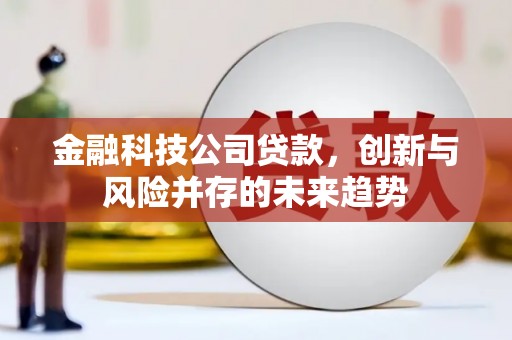 江干金融科技公司贷款，创新与风险并存的未来趋势