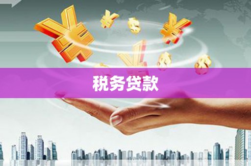 江干税务贷款