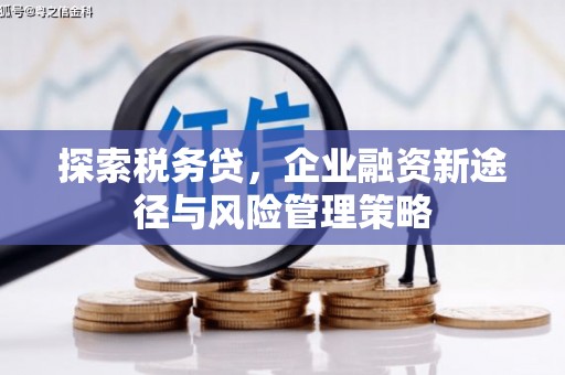 江干探索税务贷，企业融资新途径与风险管理策略