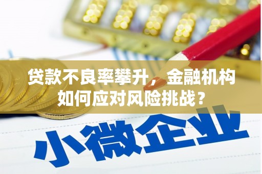 江干贷款不良率攀升，金融机构如何应对风险挑战？