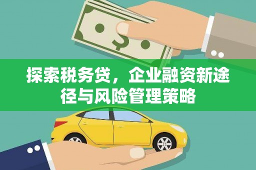 江干探索税务贷，企业融资新途径与风险管理策略