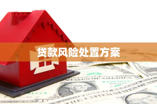江干贷款风险处置方案
