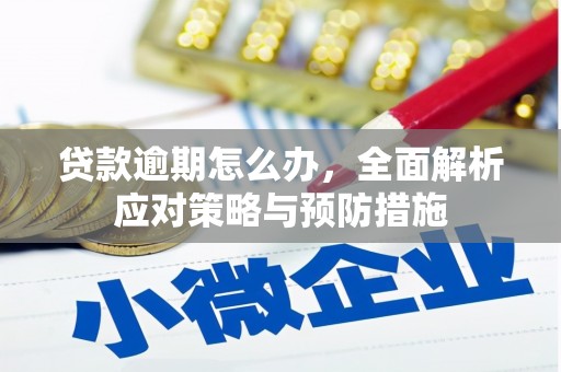 江干贷款逾期怎么办，全面解析应对策略与预防措施