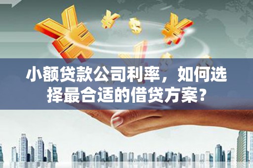 江干小额贷款公司利率，如何选择最合适的借贷方案？