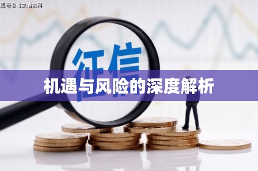 江干机遇与风险的深度解析