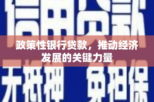 江干政策性银行贷款，推动经济发展的关键力量