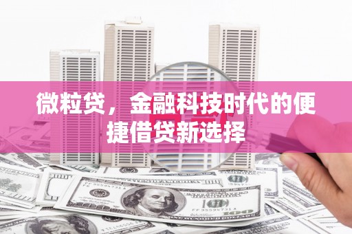 江干微粒贷，金融科技时代的便捷借贷新选择
