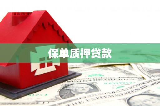 江干保单质押贷款
