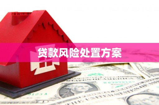 江干贷款风险处置方案