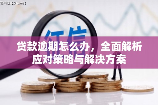 江干贷款逾期怎么办，全面解析应对策略与解决方案