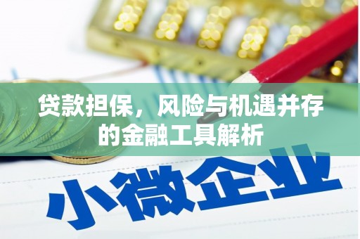 江干贷款担保，风险与机遇并存的金融工具解析