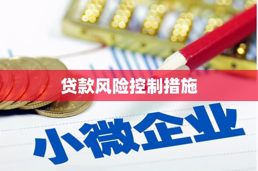 江干贷款风险控制措施