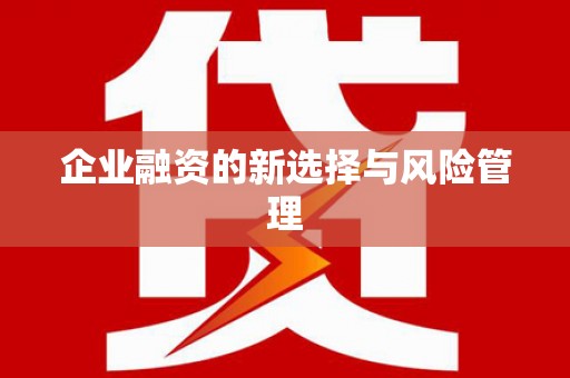 江干企业融资的新选择与风险管理