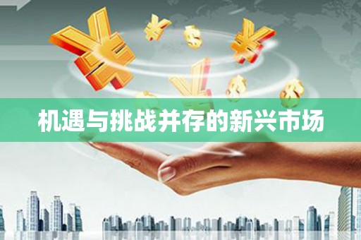 江干机遇与挑战并存的新兴市场