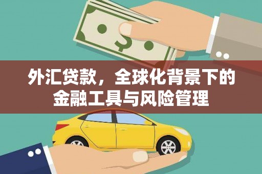江干外汇贷款，全球化背景下的金融工具与风险管理